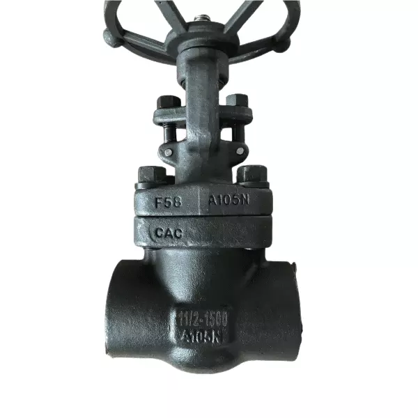 Regular Bore Forged Gate Valve, A105, 1-1/2 IN, 1500 LB, SW