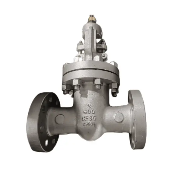 Válvula de compuerta ASTM A351 CF8C, API 6000,603,2 pulgadas, 600 libras, RF