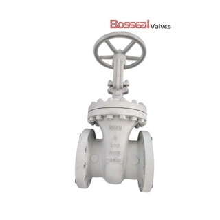 Cast Steel Gate Valve, A352 LCB, 14 Inch, 900 LB, OS&Y, RTJ