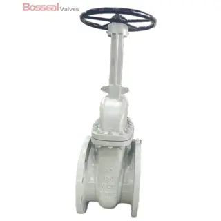 ASTM B148 C95800 Wedge Gate Valve, 3 Inch, 1500 LB, RTJ
