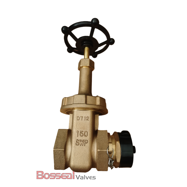 Rising Stem Bronze Gate Valve, 1/2 Inch, 125 LB, B62 C83600
