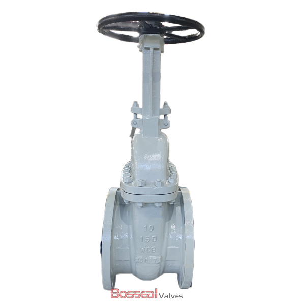 Stainless Steel Gate Valve, ASTM A351 CF8M, 12 IN, ANSI 150