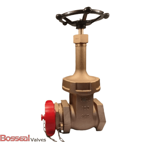Threaded Bonnet Bronze Gate Valve, MSS SP-80, 1 Inch, CL 200