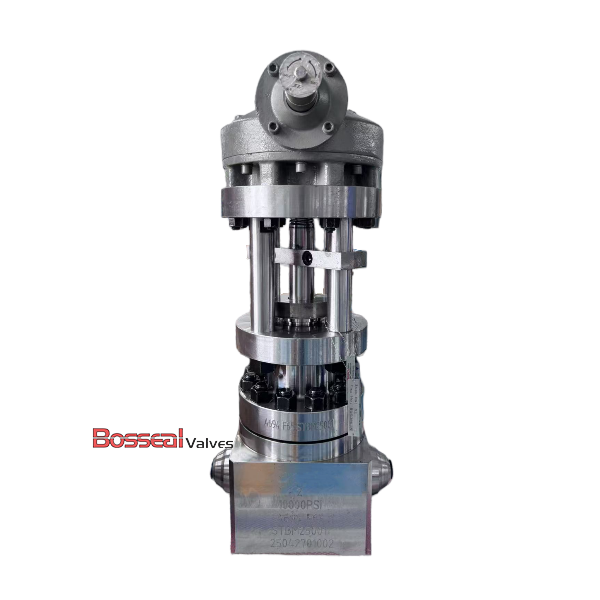 2-9/16 Inch Globe Valves, API 6A, 4130/F65, PSB, 10000 PSI