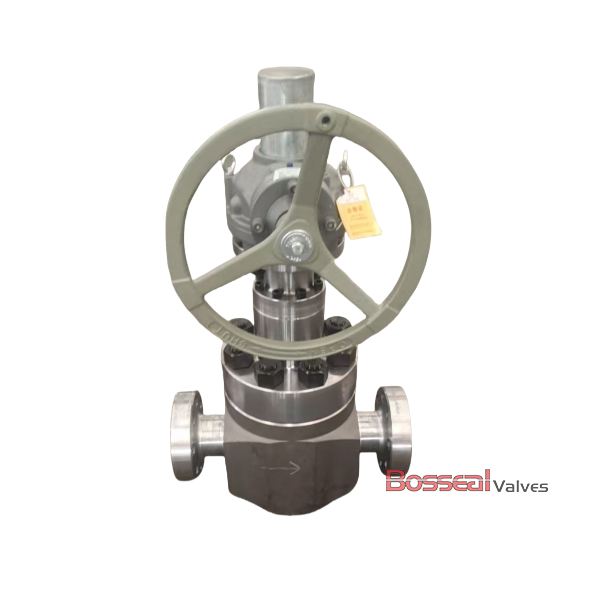 AISI 4130 Globe Valve, API 6A, 3-1/16 IN, A694 F65, 5000 PSI