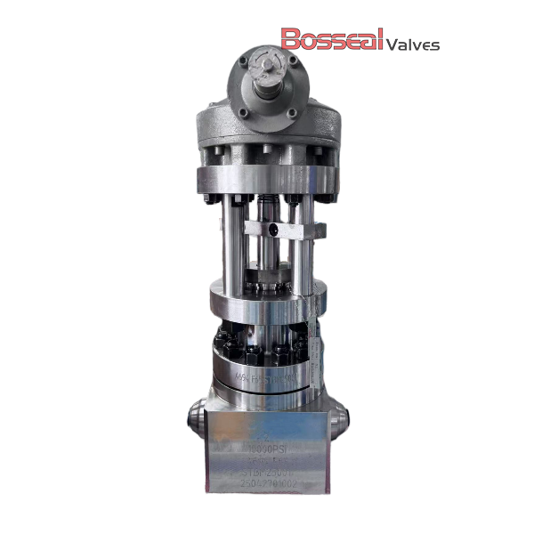 AISI 4130 Globe Valve, API 6A, 5-1/8 IN, Bolted Bonnet, BW