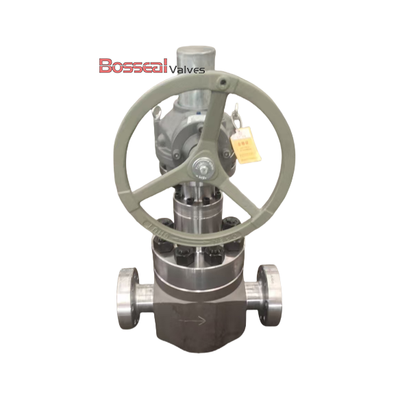 Alloy Steel Globe Valve, API 6A, 4-1/8 Inch, F51/17-4PH Trim