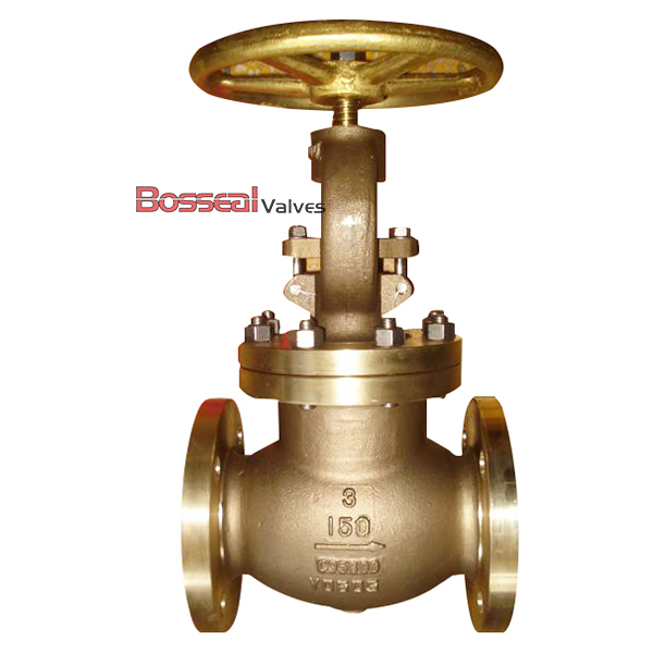 API 623 Flanged Globe Valve, C95800, 2-1/2 Inch, 300 LB, FF
