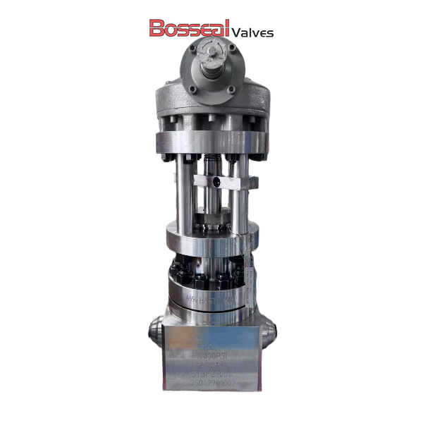 API 6A Bolted Bonnet Globe Valve, 7-1/16 Inch, Inconel Body