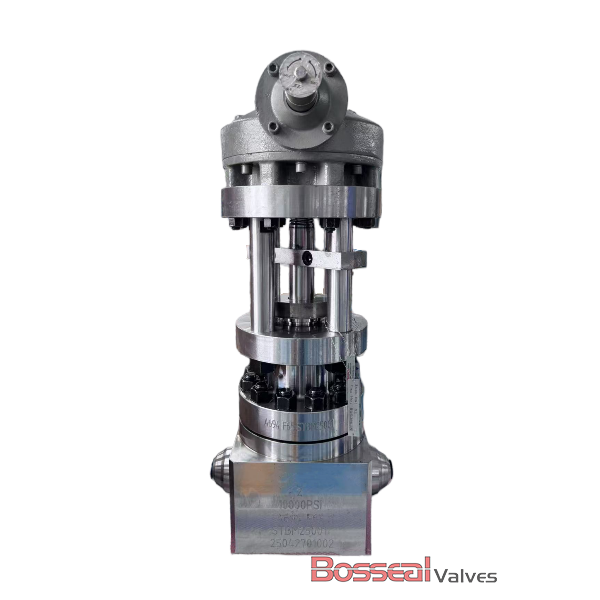 API 6A Globe Valve, 4130/A694 F60/F65, 1-13/16 IN, 5000 PSI