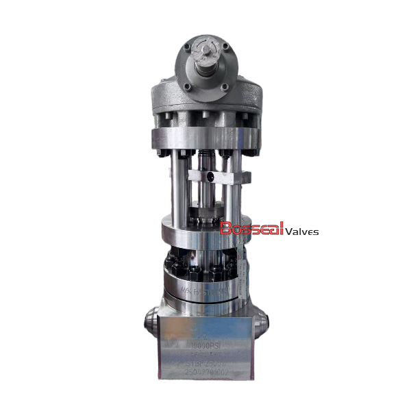 API 6A Globe Valve, AISI 4130, 1-13/16 IN, 15000 PSI, BW
