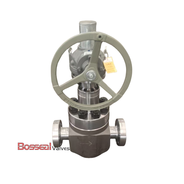API 6A Globe Valve, F65/AISI 4130, 6-3/8 IN, 15000 PSI, PSB