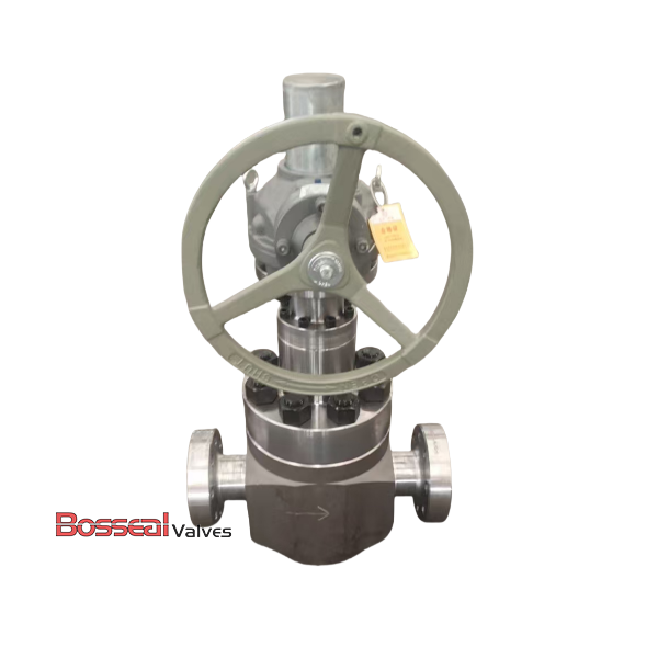 API 6A Globe Valves, 6-1/8 IN, 5000 PSI, Inconel Trim, RTJ/BW