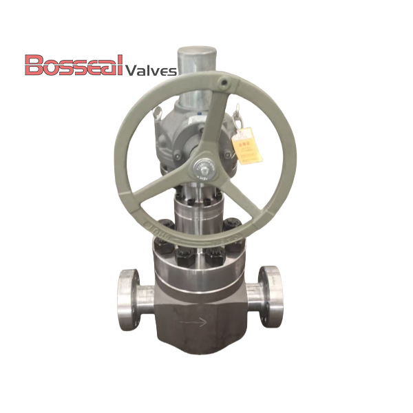 API 6A Globe Valves, A694 F60, 4-1/4 Inch, 17-4PH/F51 Trim