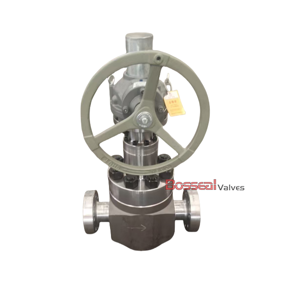 API 6A Globe Valves, ASTM A694 F65, 6 Inches, 5000 PSI, RTJ