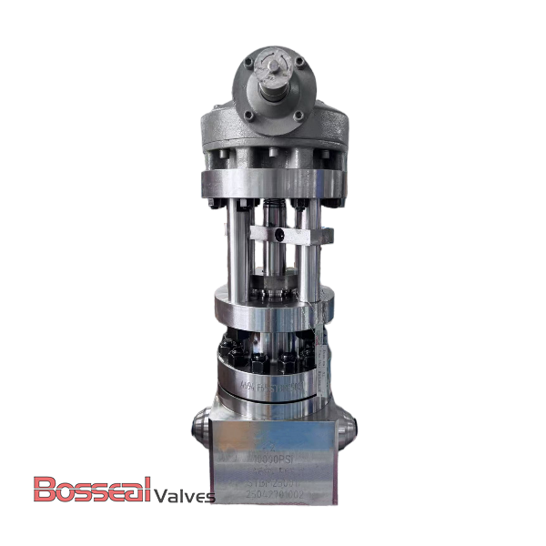 API 6A Inconel Globe Valves, 2-1/16 Inch, 15000 PSI, RTJ