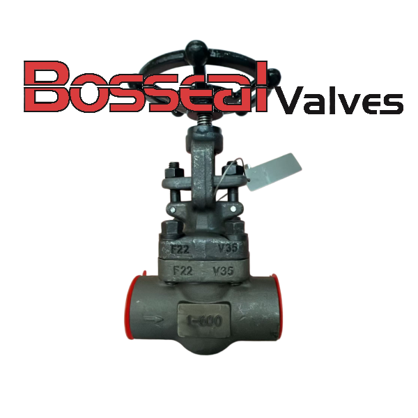 ASTM A182 F22 Globe Valve, ASME B16.34, 1 Inch, 600 LB, SW