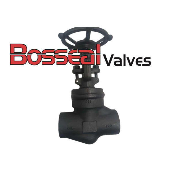ASTM A182 F22 Globe Valve, ASME B16.34, 1 Inch, 800 LB, SW