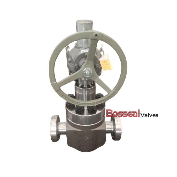 ASTM A694 F60 Globe Valve, 6-5/8 Inch, 5000 PSI, PSB, RTJ