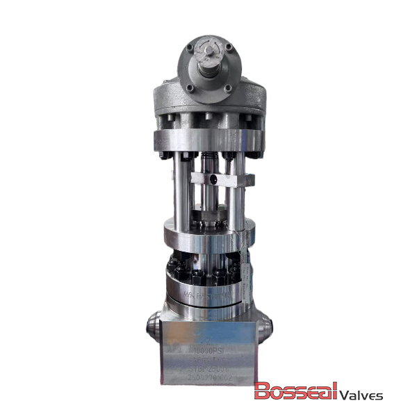 ASTM A694 F60 Globe Valve, API 6A, 6-3/8 IN, PSB, 17-4PH Trim