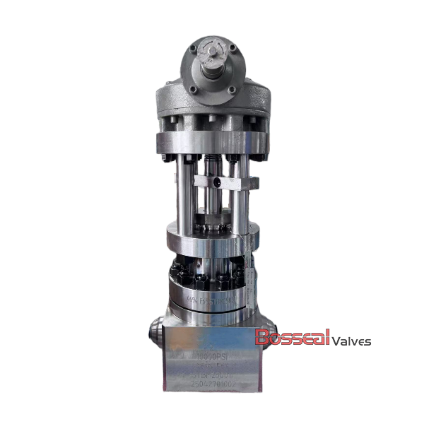 ASTM A694 F60 Globe Valve, API 6A, BB, 3-1/16 IN, 15000 PSI