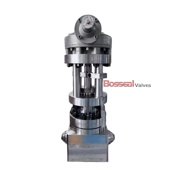 ASTM A694 F60 Globe Valves, API 6A, 3-1/8 Inch, BB, F51 Trim