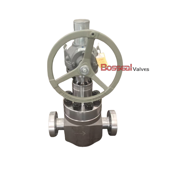 Bolted Bonnet Globe Valve, API 6A, F65/4130, 9 IN, 15000 PSI