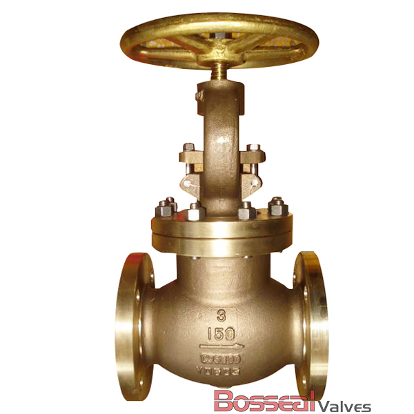 BS 1873 Globe Valve, Al-bronze C95800, 2 IN, 150 LB, BB, FF