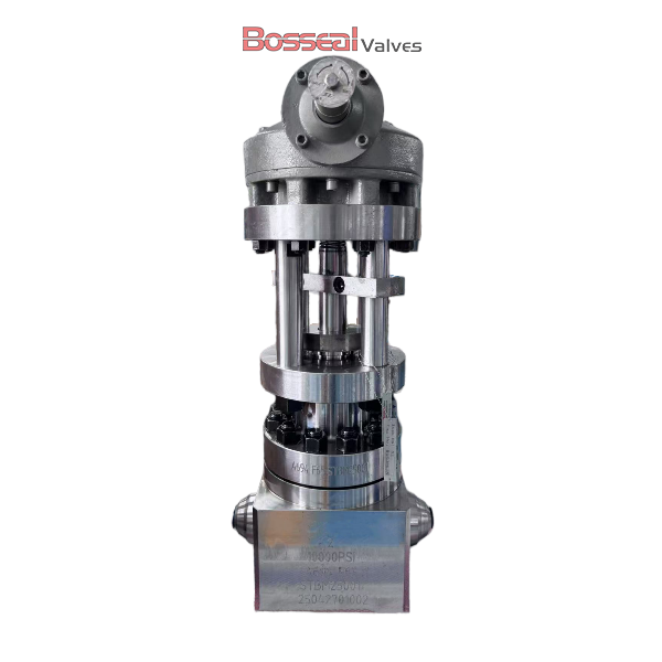 Pressure Seal Bonnet Globe Valve, A694 F60/F65, 2-9/16 Inch