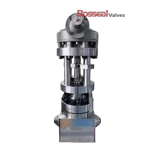 Pressure Seal Bonnet Globe Valve, API 6A, F60/F65, 7-1/16 IN