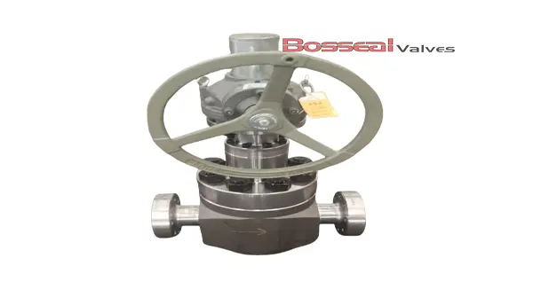 API 6A Globe Valve, AISI 4130, 3-1/8 Inch, 10000 PSI, PSB | Bosseal