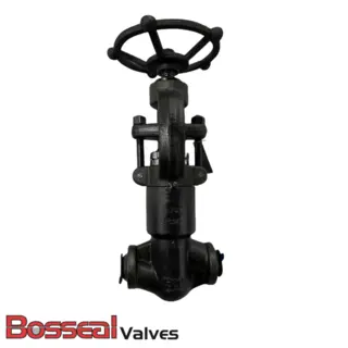 ASTM A182 F11 Globe Valve, ASME B16.34, 1/2 IN, 1500 LB, BW