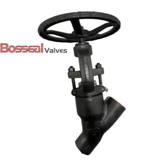 API 602 Y Globe Valve, ASTM A182 F316, 3/4 IN, CL1690, DN20