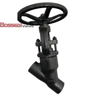ASTM A182 F316 Y Type Globe Valve, 1-1/2 IN, 800 LB, API 602