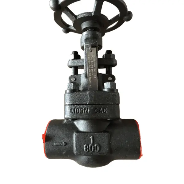 API 602 Forged Globe Valve, 1 Inch, 800 LB, A105N, SW