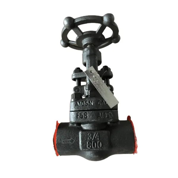 ASTM A105N Forged Globe Valve, 3/4 Inch, 800 LB, API 602