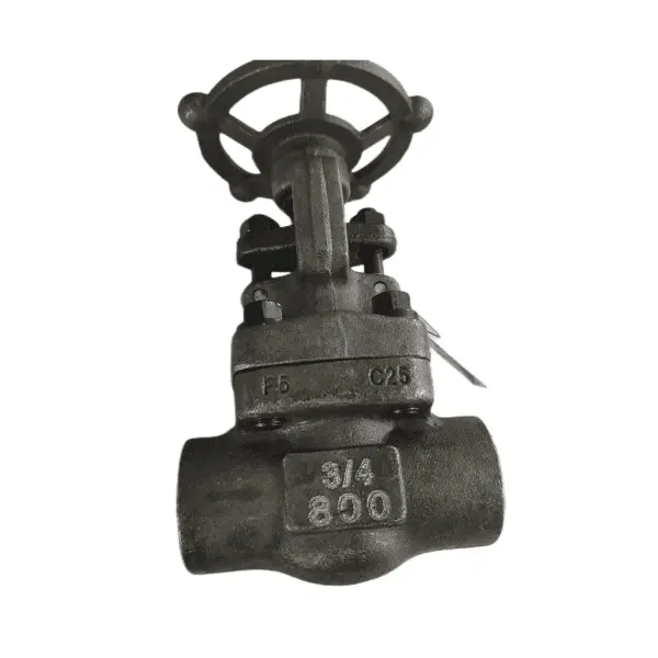 ASTM A182 F5 Forged Globe Valve, 3/4 Inch, 800 LB, API 602