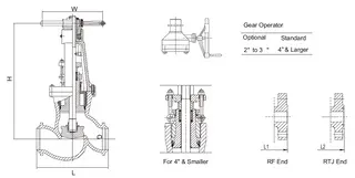 Drawing for Pressure Seal Bonnet Globe Valve