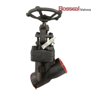 ASTM A182 F91 Y Globe Valve, 800 LB, 2 Inch, Bolted Bonnet