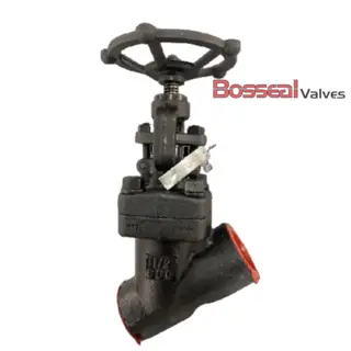 Welded Bonnet Y Globe Valve, ANSI 2500, A182 F91, 1 IN, NPT