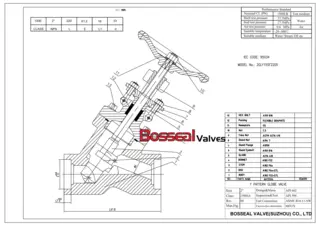 drawing for globe valve