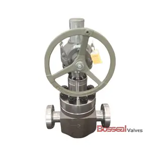 AISI 4130 Globe Valves, A694 F65, 7-1/16 IN, 15000 PSI, BW