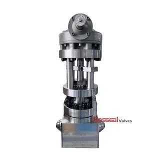 API 6A Inconel Globe Valves, 9 Inch, F51 Trim, 10000 PSI, BW