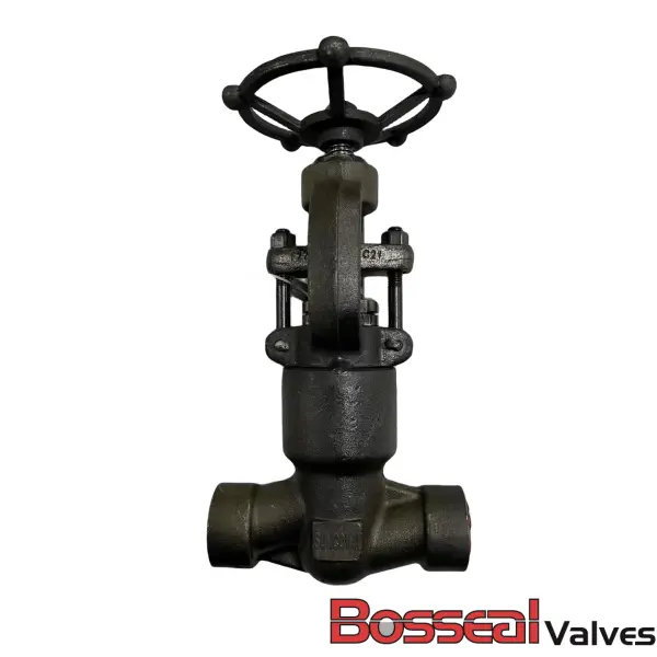 ASME B16.34 Запорный клапан с герметичным давлением, 1-1/2 дюйма, 1700 фунтов, F22