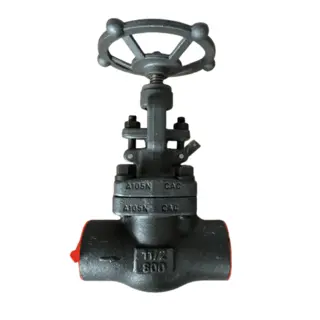 ASME B16.34 Forged Globe Valve, 1-1/2 Inch, 800 LB, A105, SW
