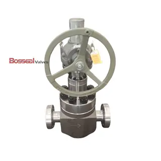 11 Inch Globe Valves, API 6A, ASTM A694 F60, 10000 PSI, RTJ