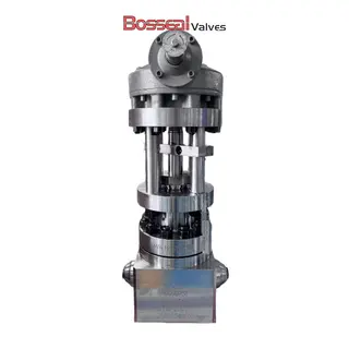API 6A Bolted Bonnet Globe Valve, 7-1/16 Inch, Inconel Body