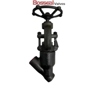 Y Pattern Globe Valve, API 602, 1500 LB, 1/2 IN, ASTM A105N