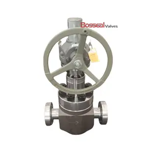 API 6A Globe Valve, A694 F60, 2-1/16 IN, 4140/F51 Trim, BB