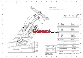 drawing for globe valve